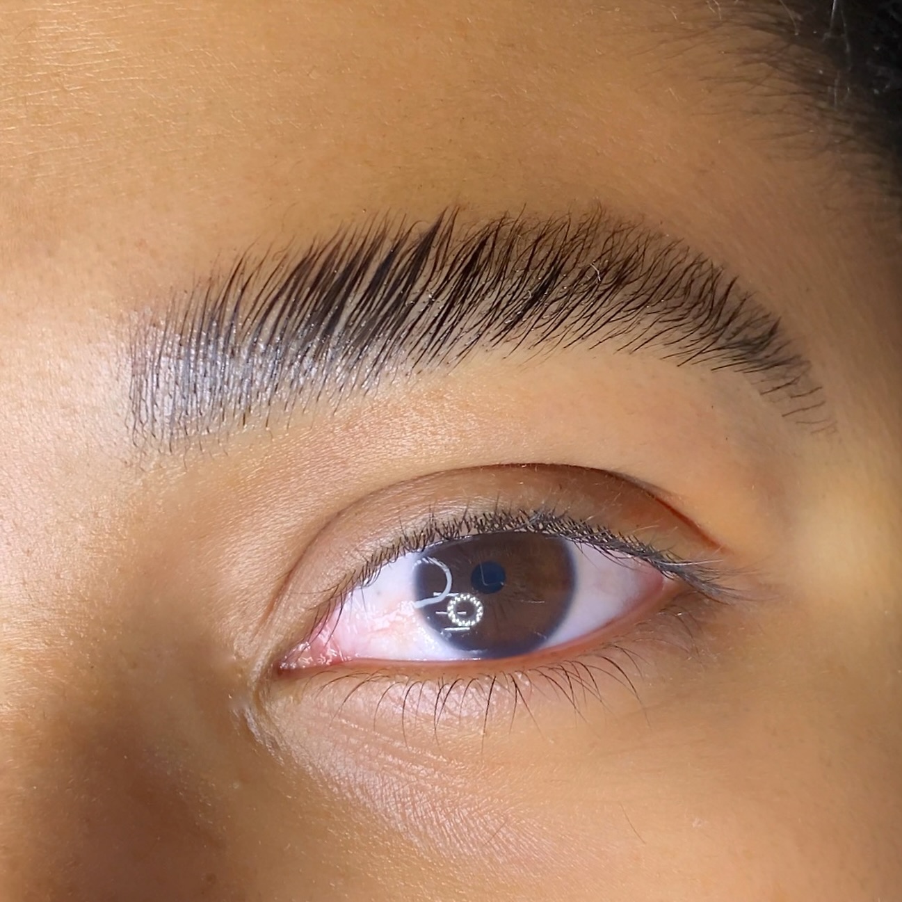 rosenunesbeauty_460150979_18338237125127406_119915378157349847_n